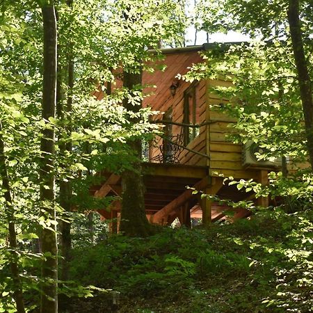 La Cabane Aux Ecureuils Philippeville Exterior photo