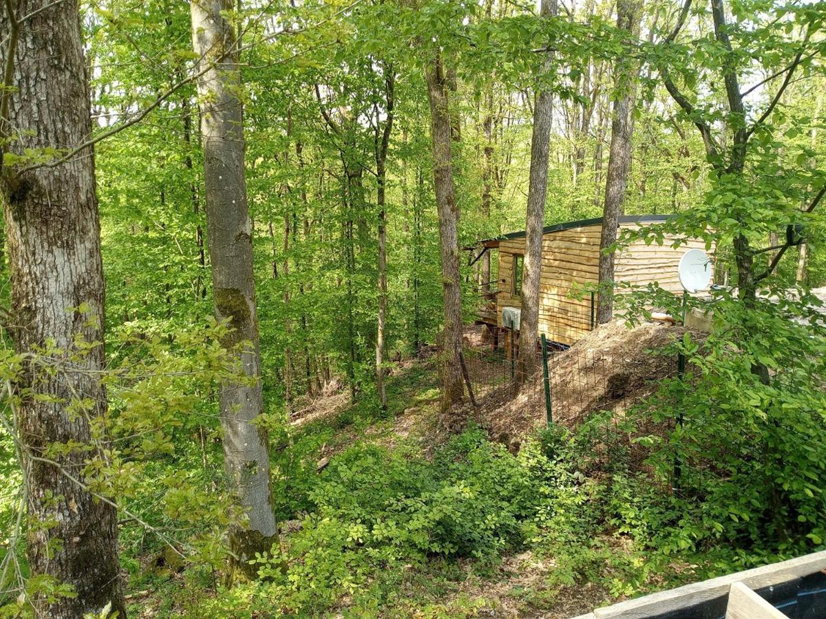 La Cabane Aux Ecureuils Philippeville Exterior photo