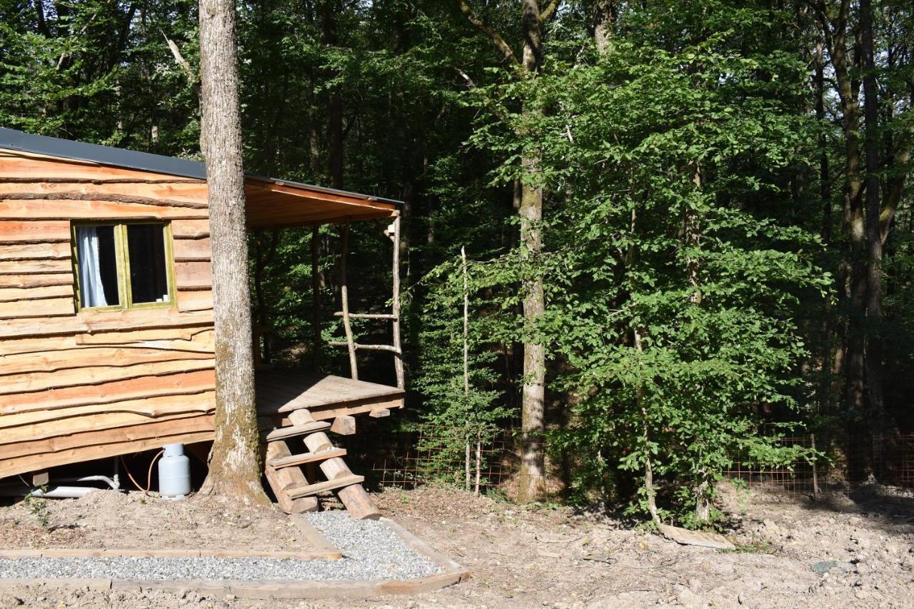 La Cabane Aux Ecureuils Philippeville Exterior photo