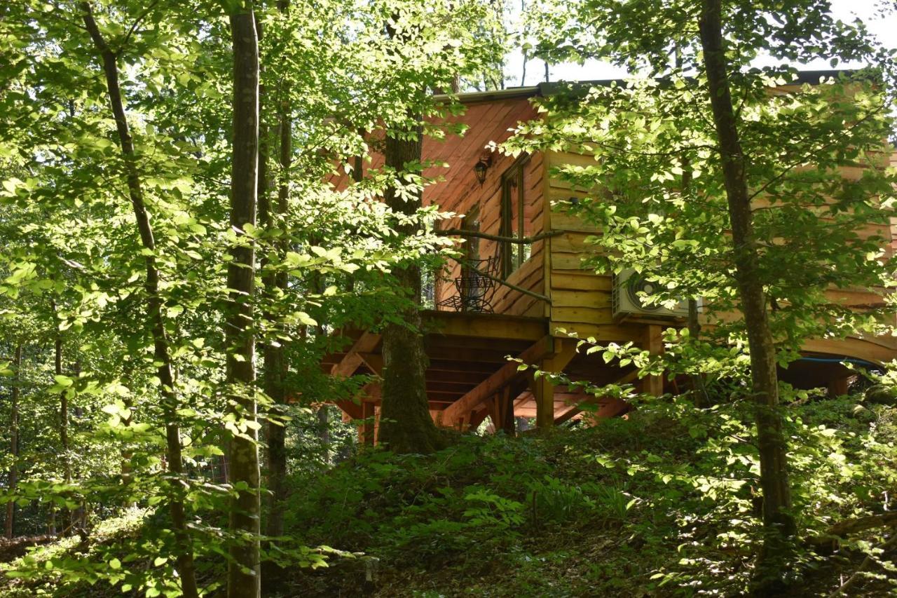 La Cabane Aux Ecureuils Philippeville Exterior photo