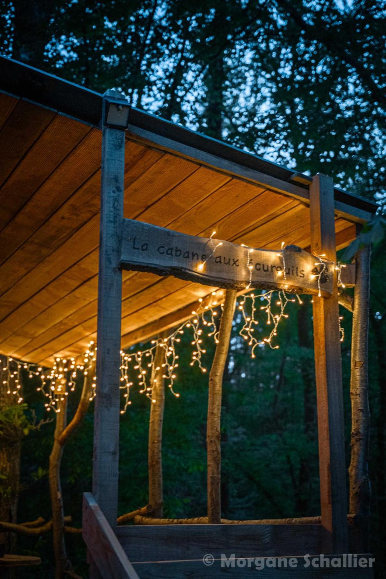 La Cabane Aux Ecureuils Philippeville Exterior photo