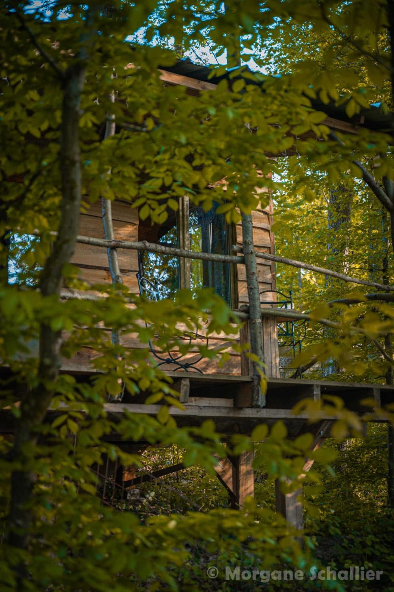 La Cabane Aux Ecureuils Philippeville Exterior photo